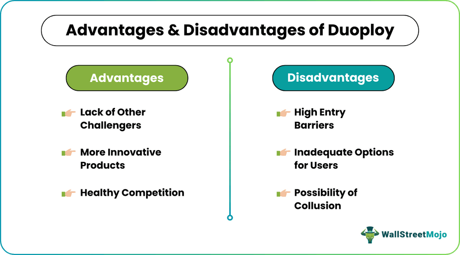 Advantages And Disadvantages of Duopoly