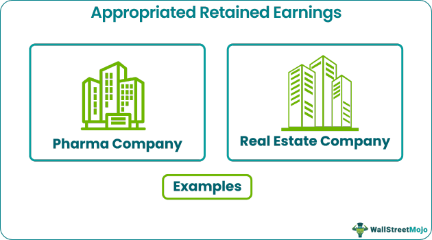 Appropriated Retained Earning Example
