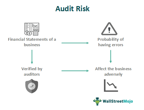 Audit Risk