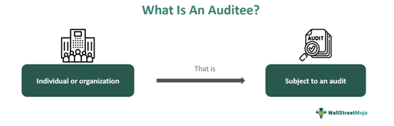 Auditee