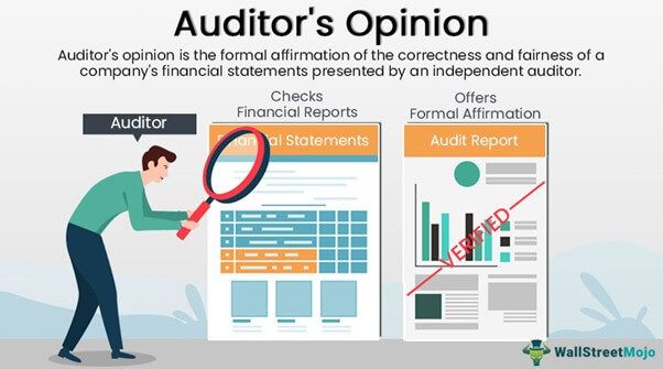 Independent Auditors Express An Opinion On The Auditor's Opinion - Definition, Types, Examples, Purpose