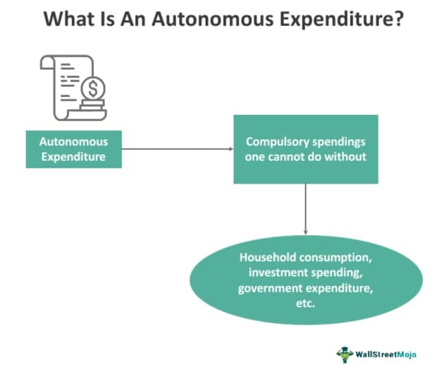 Autonomous Expenditure - What Is It, Formula, How To Calculate?