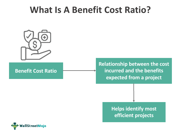 Benefit Cost Ratio