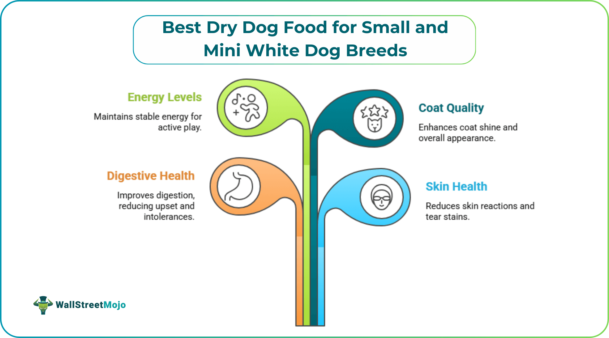 Best Dry Dog Food for Small and Mini White Dog Breeds