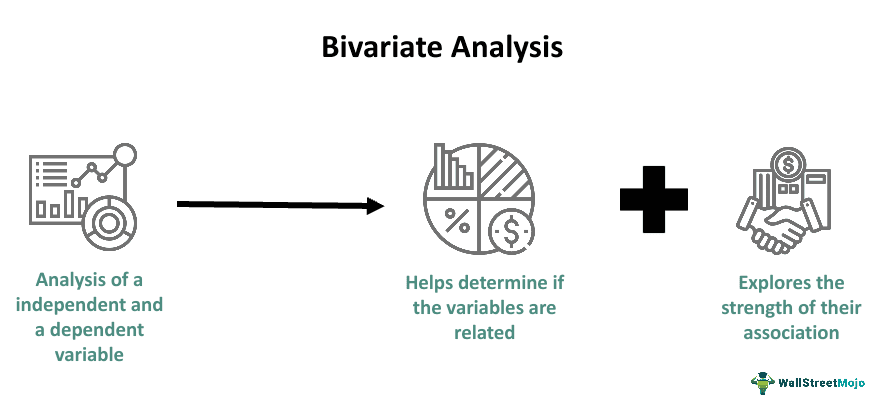 Bivariate Analysis