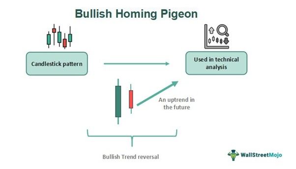 Bullish Homing Pigeon