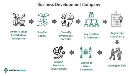 Business Development Company