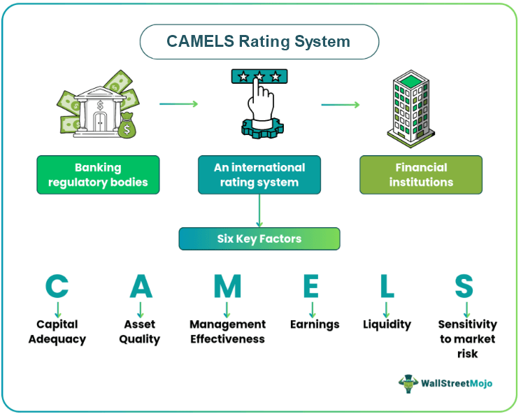 CAMELS Rating System