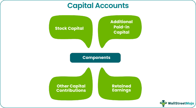 Capital Account Components