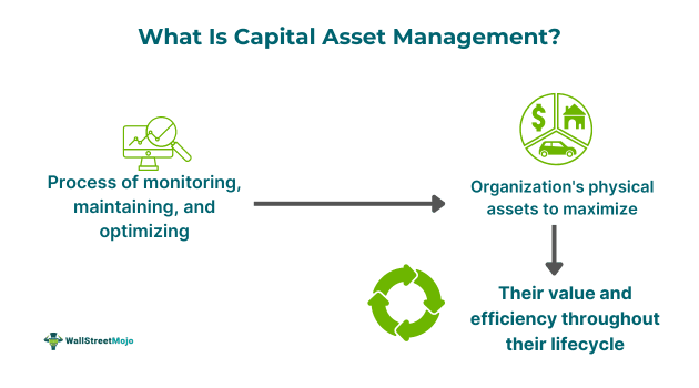 Capital Asset Management.png