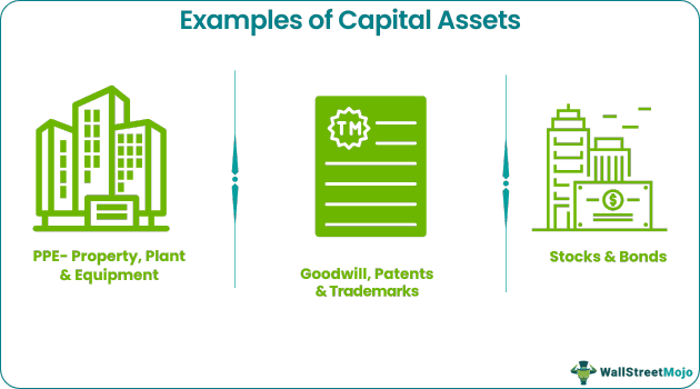 Capital Assets