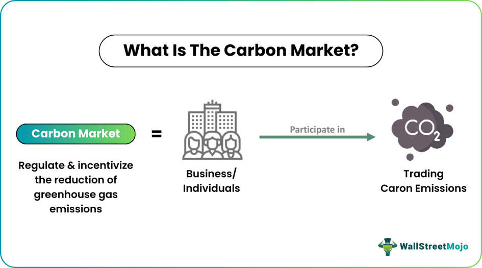 Carbon Market