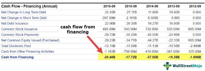 Cash Flow From Financing Activities