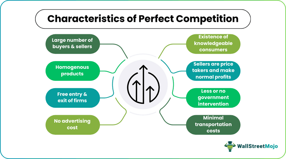 Characteristics of perfect competition