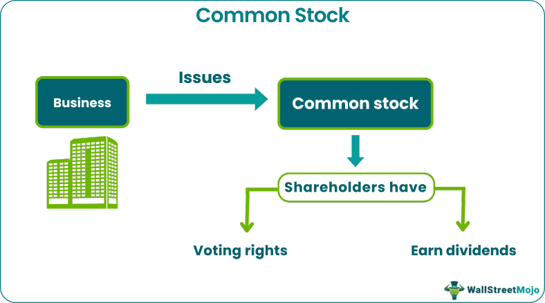 Common Stock