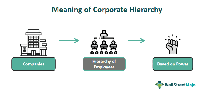 Corporate Hierarchy