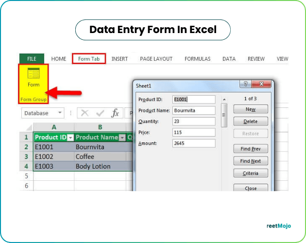 Data Entry Form in Excel.jpg