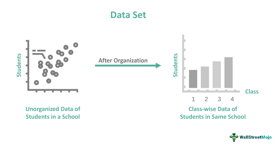 Data Set