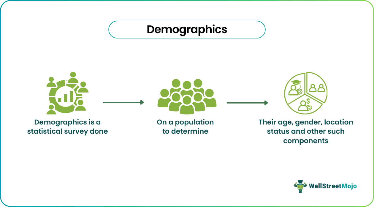 Demographics Meaning Types Effects Examples