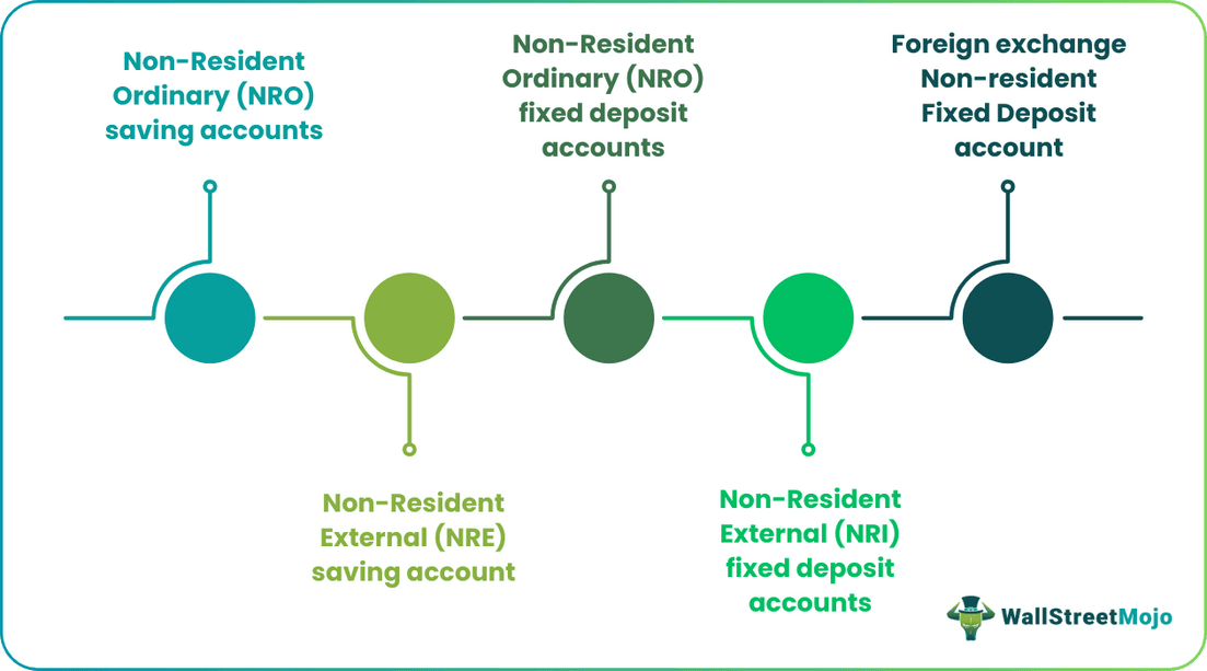 Different Types of NRI Accounts