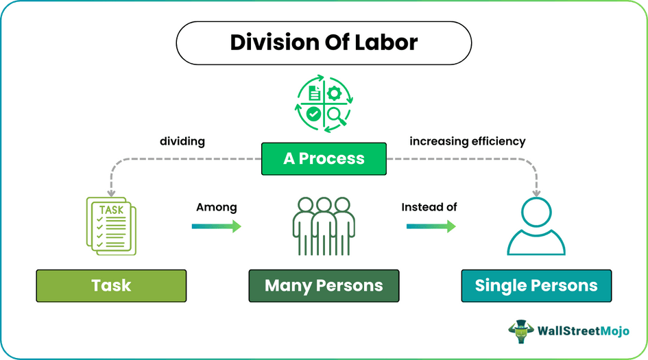 Division Of Labor