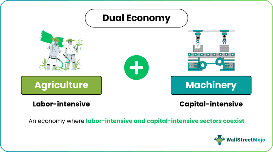 Dual Economy