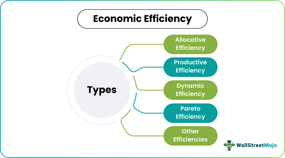 Economic Efficiency