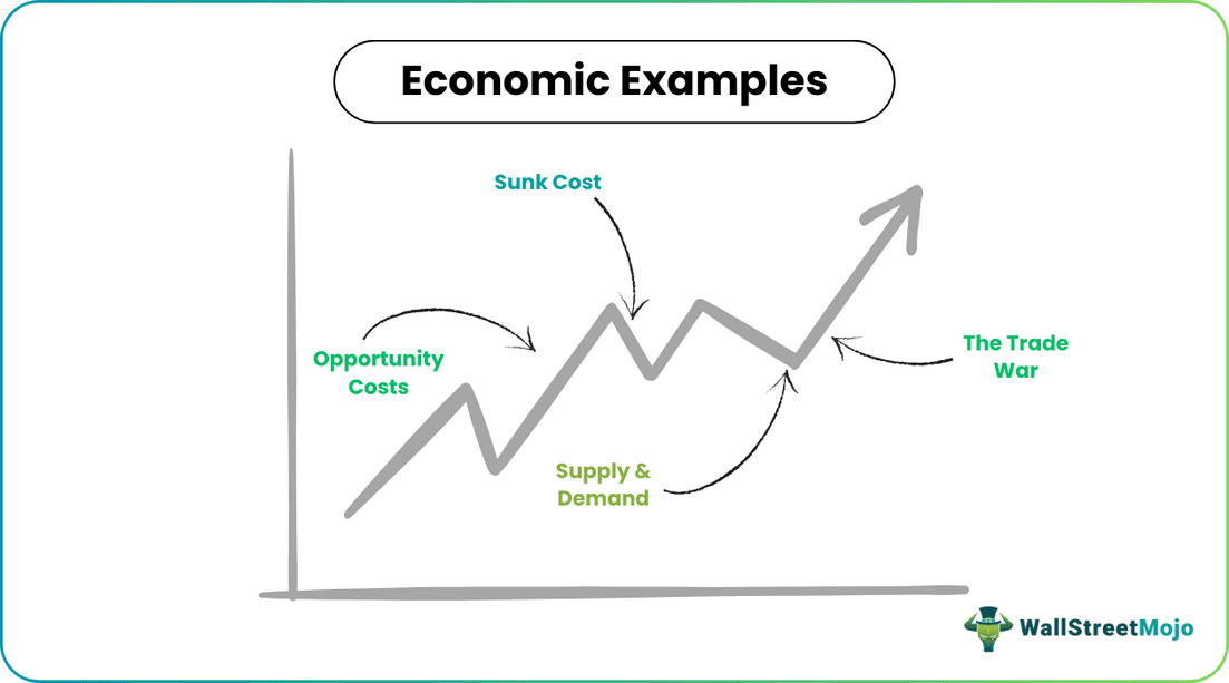 Economic Examples