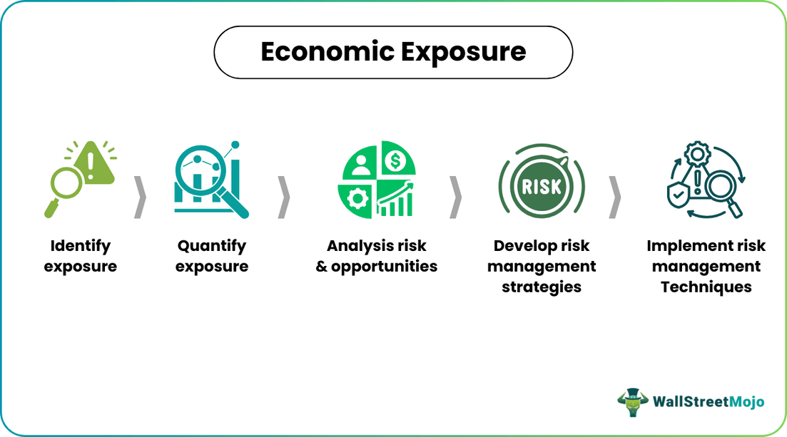 Economic Exposure