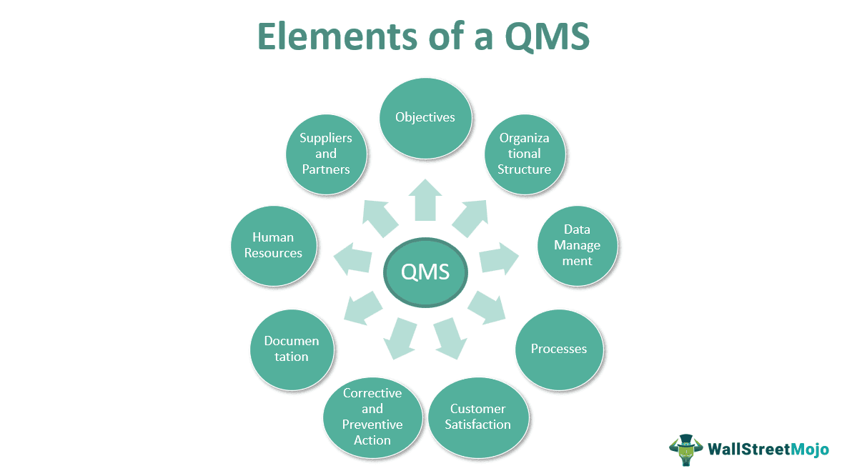 Quality Management System QMS What Is It Types Example