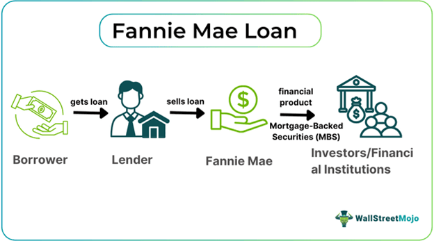 Fannie Mae Loan