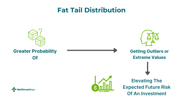 Fat Tail Distribution