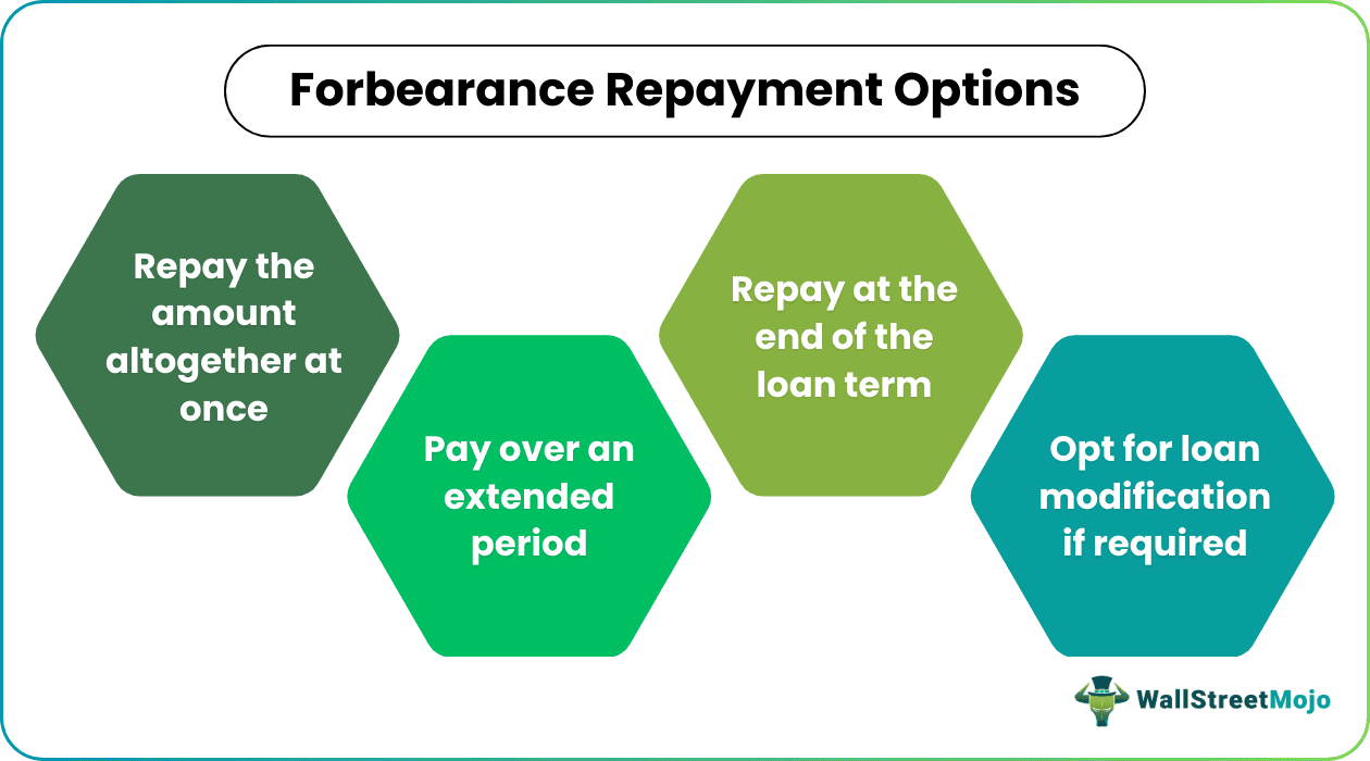 Forbearance Repayment Options