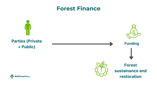 Forest Finance Meaning.png