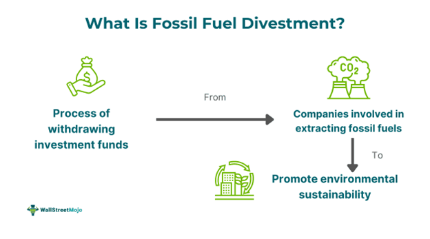 Fossil Fuel Divestment