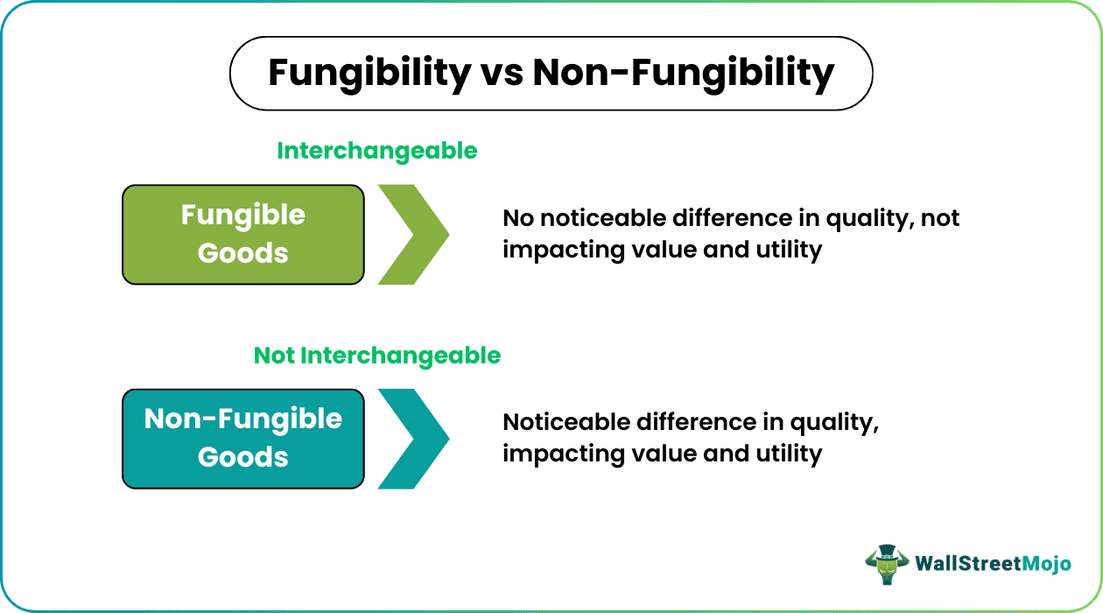 Fungibility vs Non Fungibility
