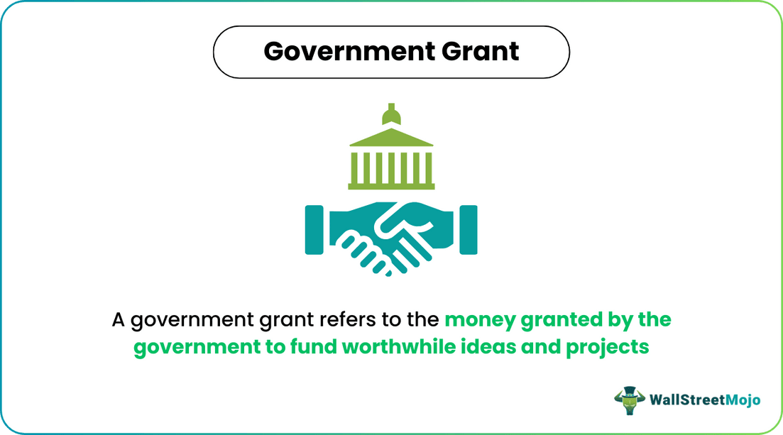 Government Grant