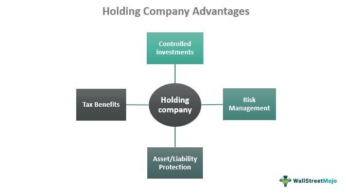 Holding Company advantages