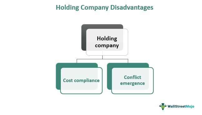 Holding Company disadvantages