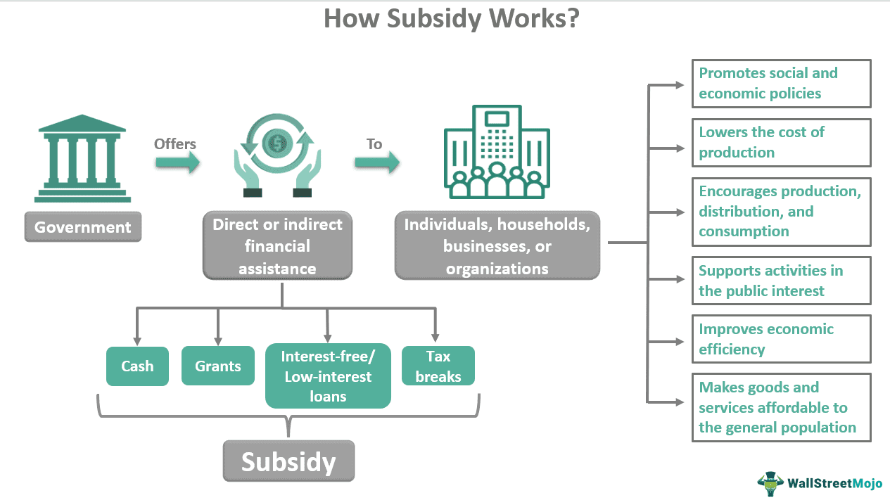 subsidy-meaning-examples-types-how-does-it-work