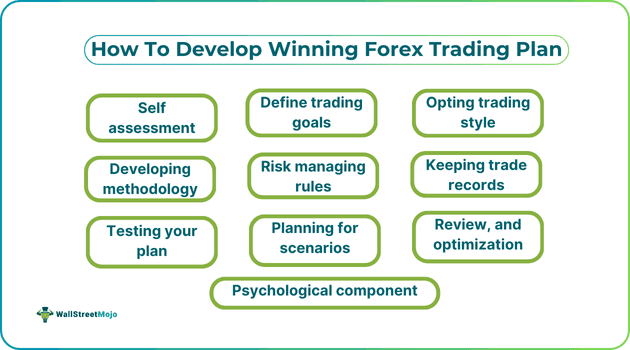 How to Develop a Winning Forex Trading Plan