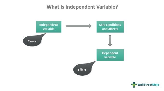 Independent Variable