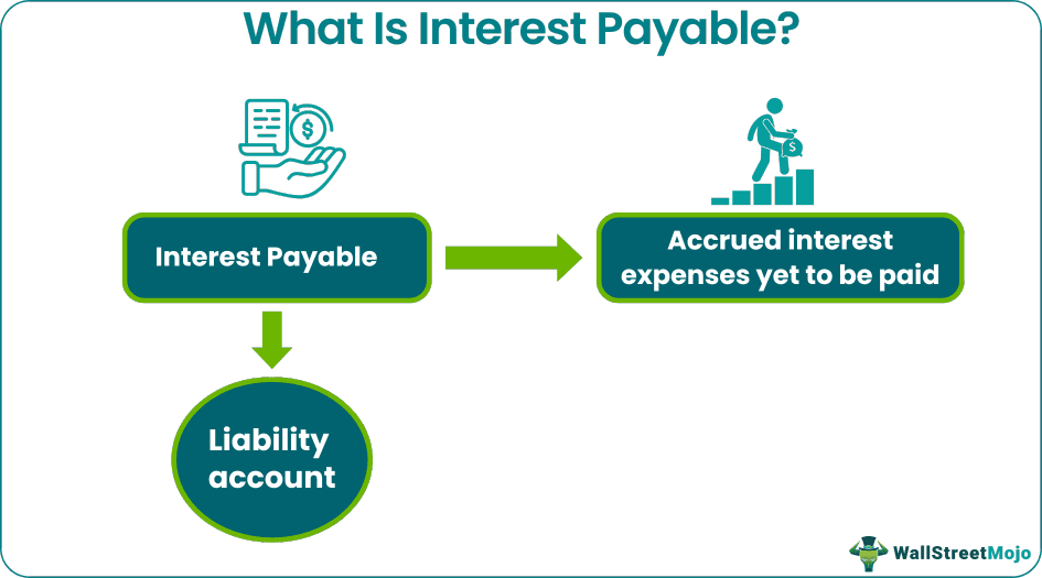 Interest Payable