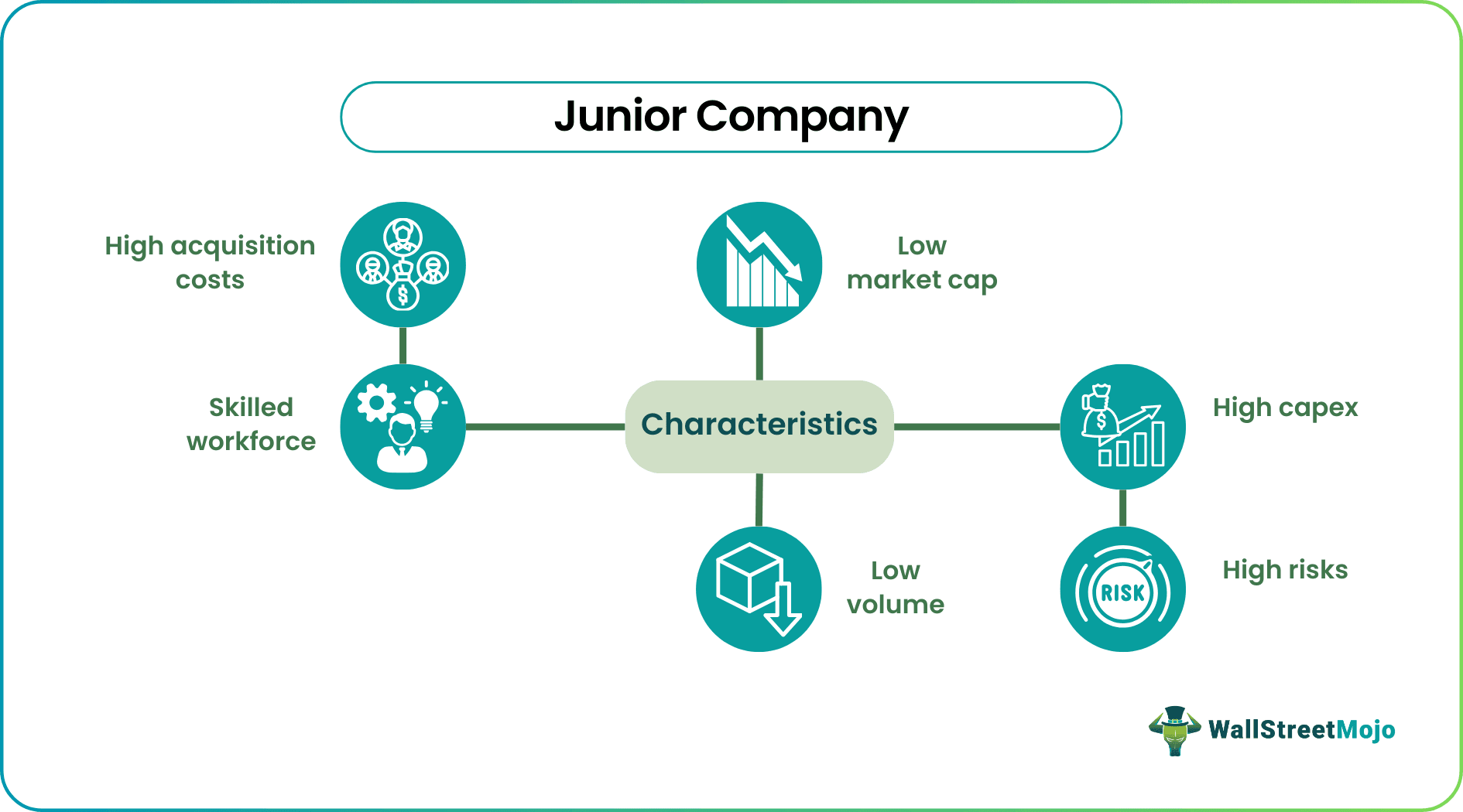 Junior Company Characteristics