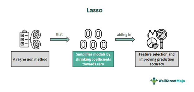 Lasso Meaning