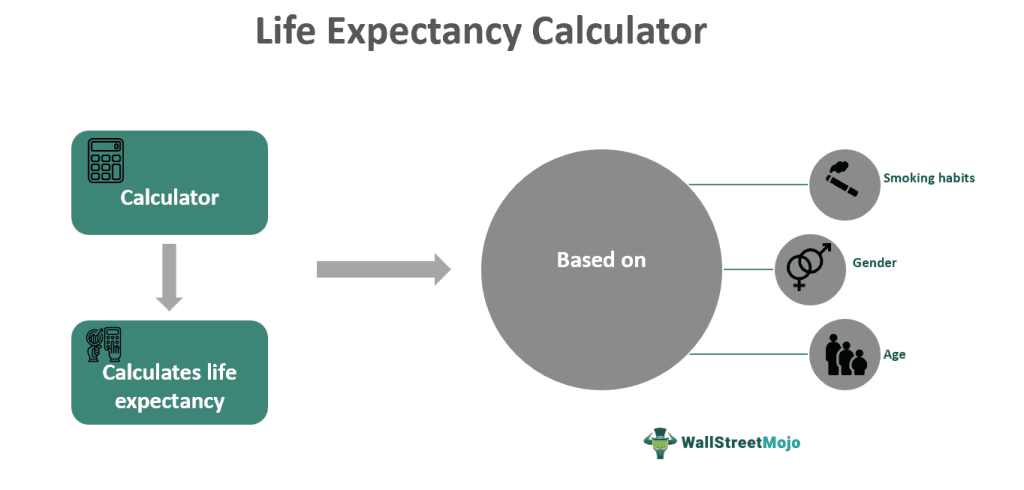 Life Expectancy Calculator