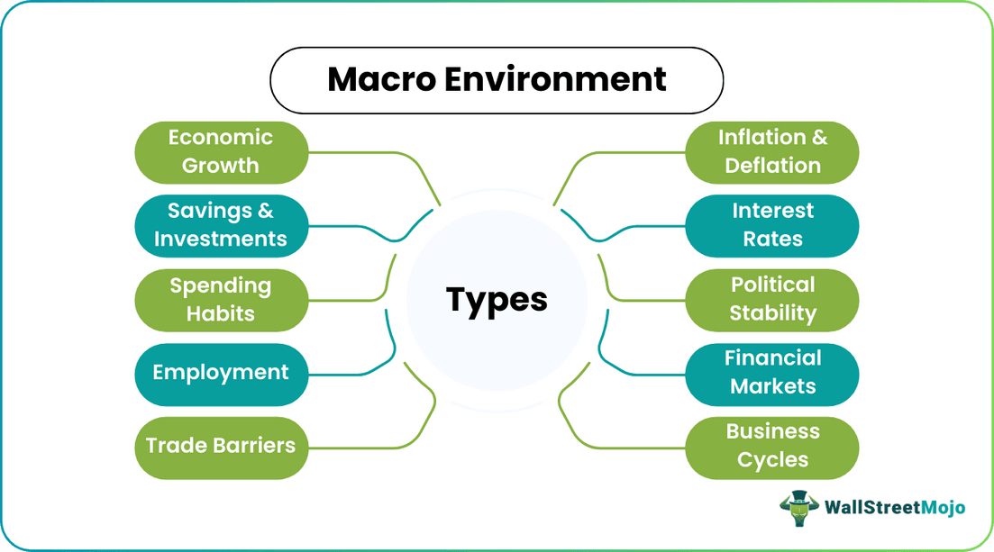Macro Environment