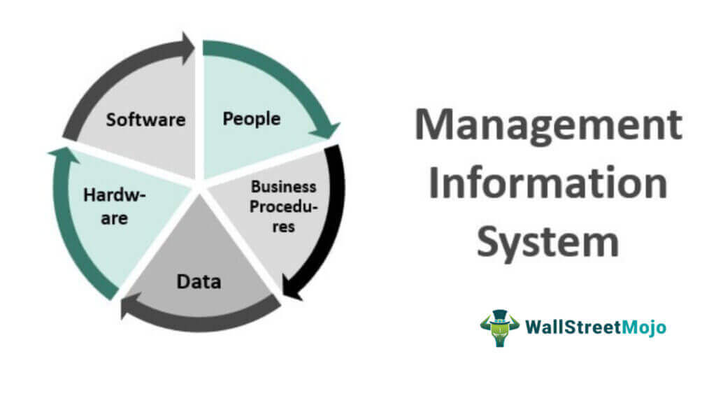 Management Information System (MIS) - Definition, Examples