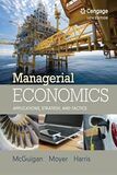 Managerial Economics - Applications, Strategies and Tactics.jpg