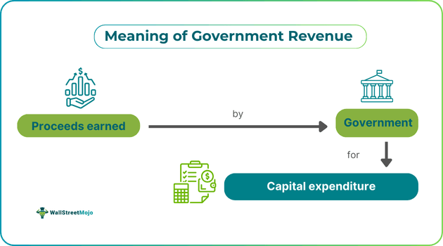 Meaning of Government Revenue